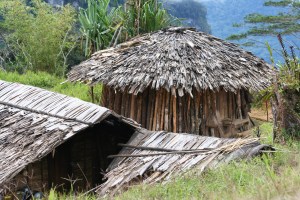 Grass huts at "high garden" site